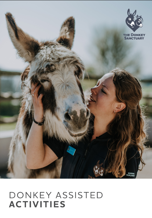 Donkey Assisted Activities