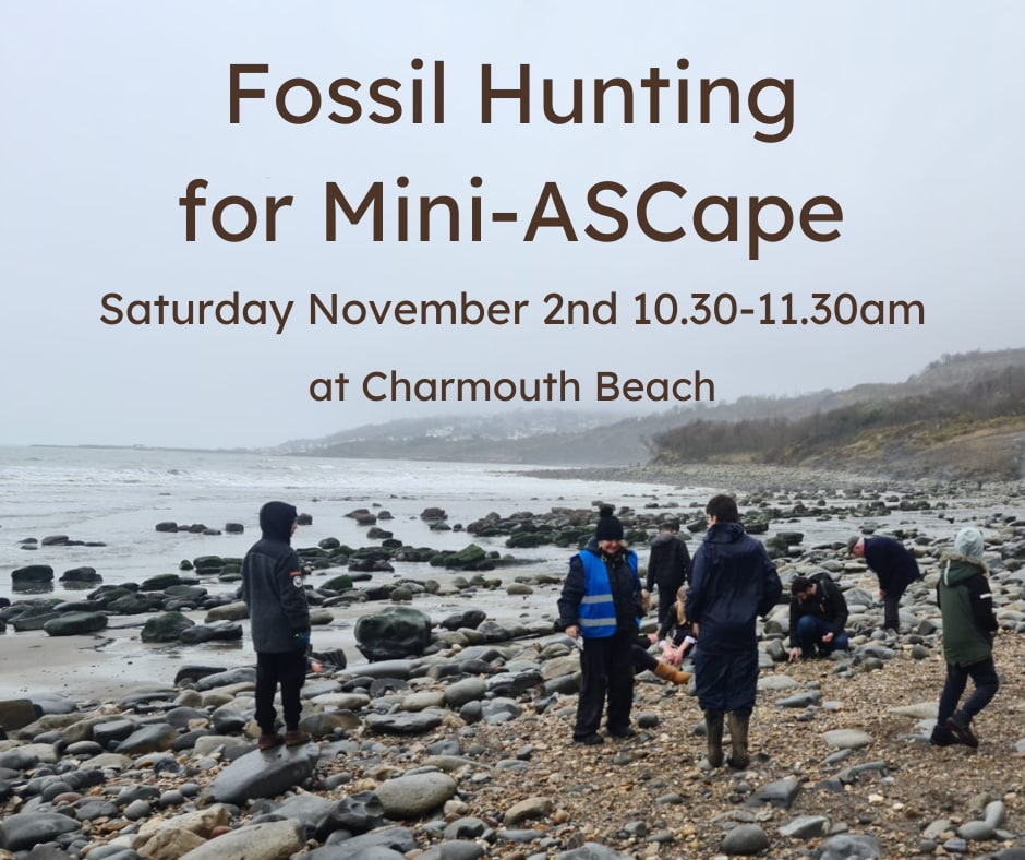Fossil Hunting for Mini ASCape