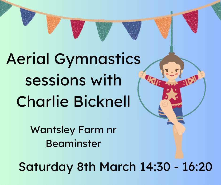 Aerial Gymnastics